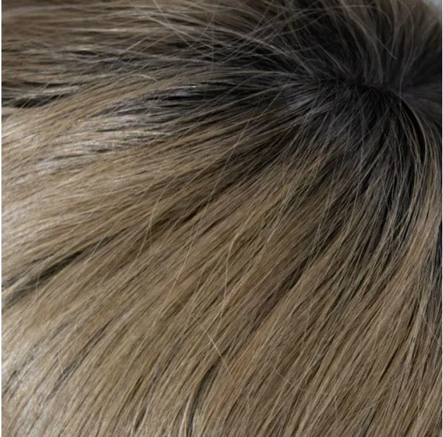 121B Liz B by WIGPRO -  Mono Top, Lace Front Wig