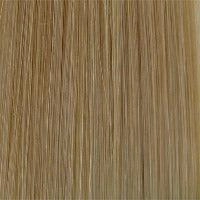 401 Mens System H by WIGPRO: Mono-top Human Hair Topper