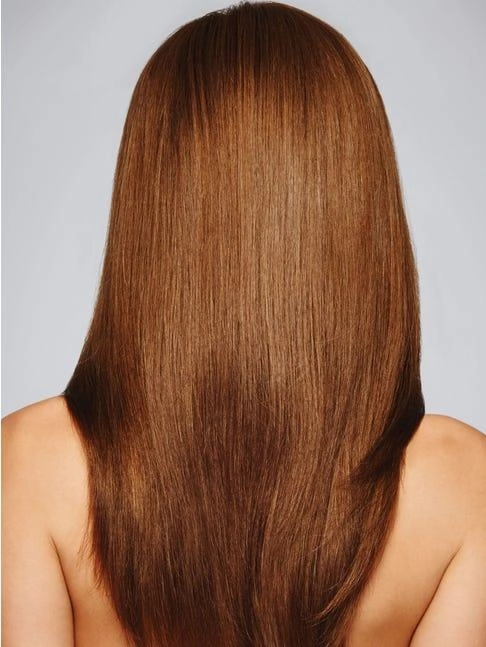 Black Label Contessa Wig by Raquel Welch | 100% Hand Tied Human Hair Lace Front (Mono)