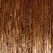 Bouncy Beauty Wig by Gabor | Synthetic Lace Front (Mono Part)