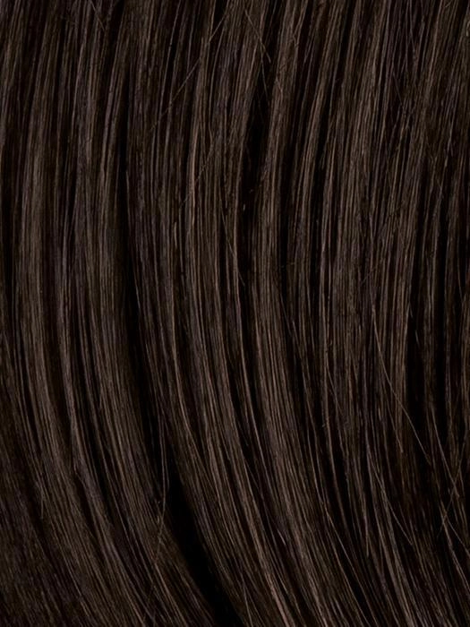 Champagne Hairpiece by Ellen Wille | Heat Friendly Synthetic Hairpiece