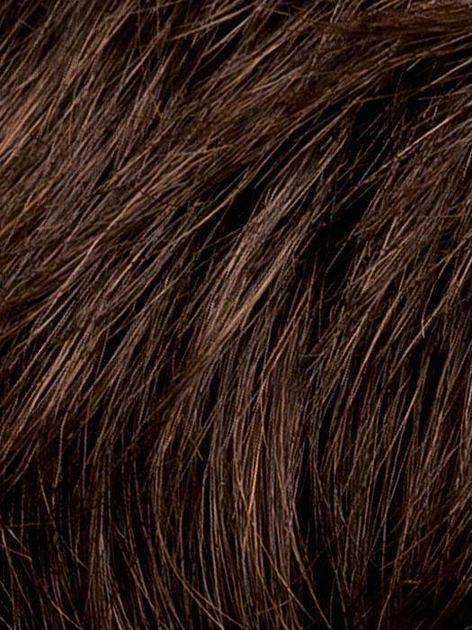 Champagne Hairpiece by Ellen Wille | Heat Friendly Synthetic Hairpiece