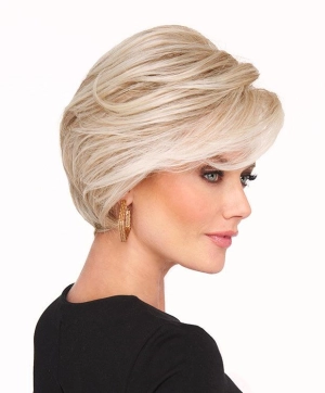 Easy Does It Wig by Raquel Welch | Synthetic Lace Front (Mono)
