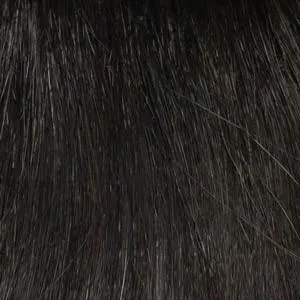 Erica Wig by Envy | Human Hair Blend (Mono Top)