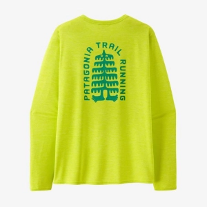 Men's Long-Sleeved Capilene Cool Daily Graphic Shirt - Lands