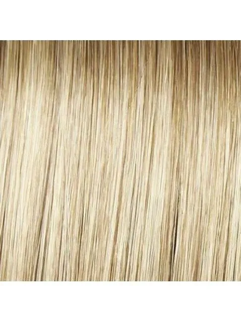 Mesmerized Wig by Raquel Welch |100% Hand Tied Lace Front Heat Friendly Synthetic(Mono)