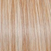 Mesmerized Wig by Raquel Welch |100% Hand Tied Lace Front Heat Friendly Synthetic(Mono)