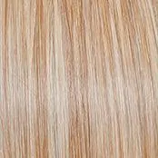 Mesmerized Wig by Raquel Welch |100% Hand Tied Lace Front Heat Friendly Synthetic(Mono)