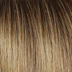Monologue Wig by Raquel Welch | Heat Friendly Synthetic (Lace Front Mono)