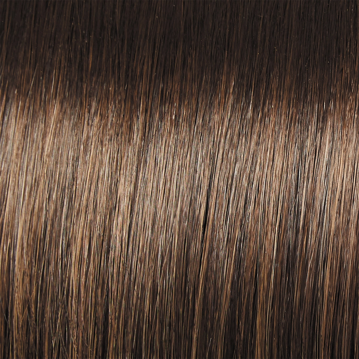 Monologue Wig by Raquel Welch | Heat Friendly Synthetic (Lace Front Mono)