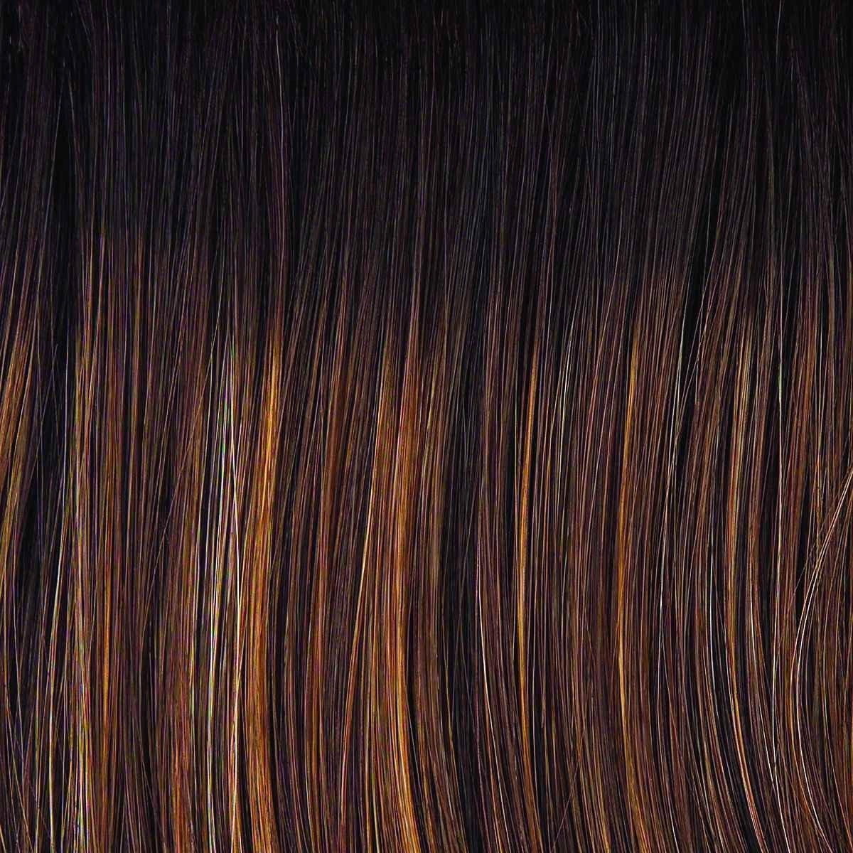 Monologue Wig by Raquel Welch | Heat Friendly Synthetic (Lace Front Mono)