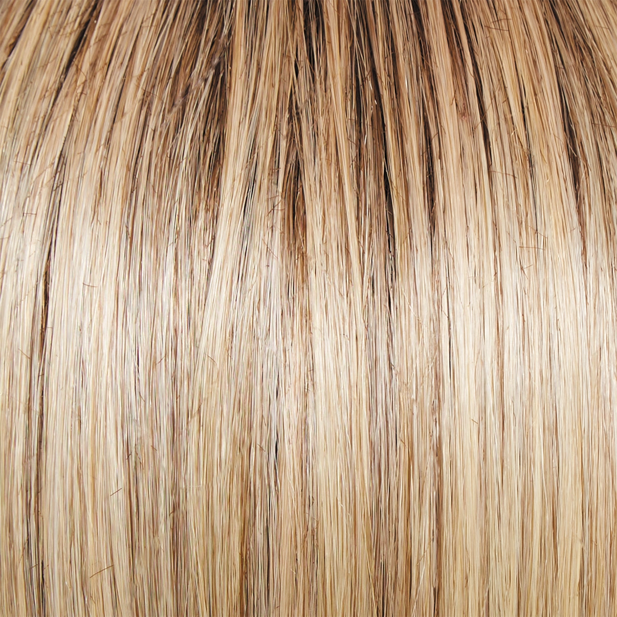 Monologue Wig by Raquel Welch | Heat Friendly Synthetic (Lace Front Mono)