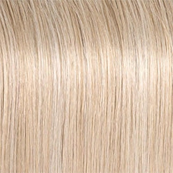 Monologue Wig by Raquel Welch | Heat Friendly Synthetic (Lace Front Mono)