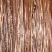 Monologue Wig by Raquel Welch | Heat Friendly Synthetic (Lace Front Mono)