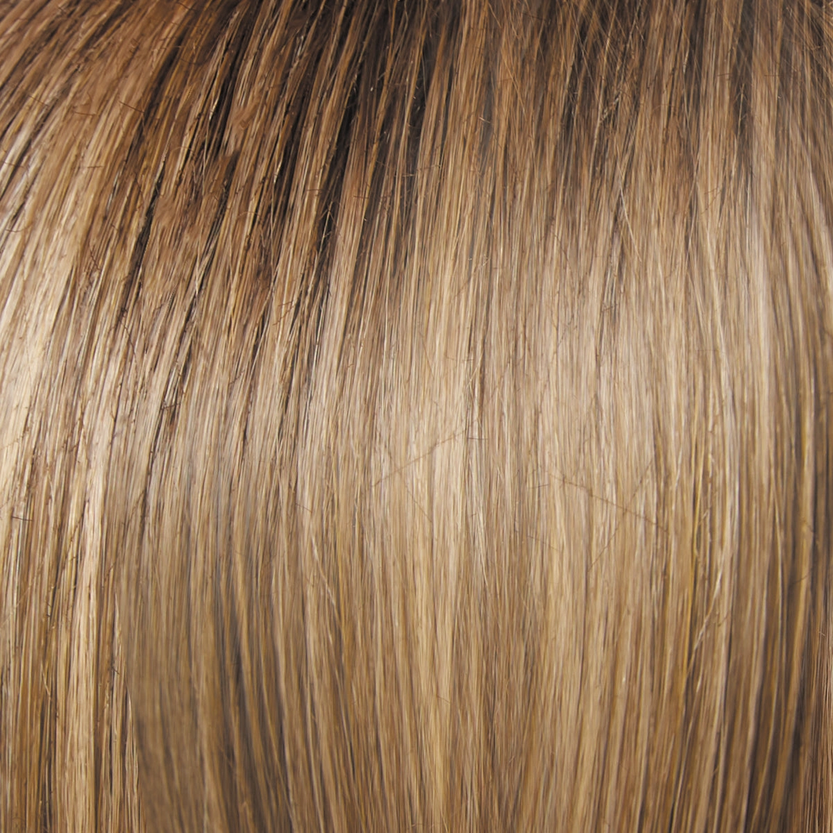 Monologue Wig by Raquel Welch | Heat Friendly Synthetic (Lace Front Mono)