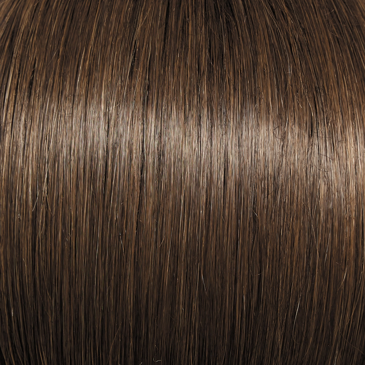 Monologue Wig by Raquel Welch | Heat Friendly Synthetic (Lace Front Mono)