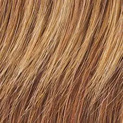 Positivity Wig by Gabor | Synthetic Lace Front (Mono)