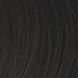Positivity Wig by Gabor | Synthetic Lace Front (Mono)