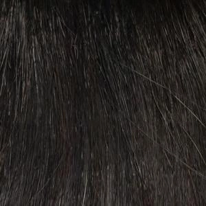 Rylee Wig by Envy | Synthetic (Lace Front Mono Top)