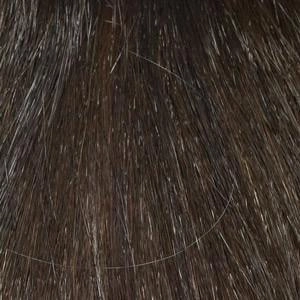 Rylee Wig by Envy | Synthetic (Lace Front Mono Top)