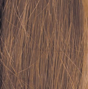 Soft Focus Wig by Raquel Welch | Human Hair (100% Hand-Knotted Mono Top)