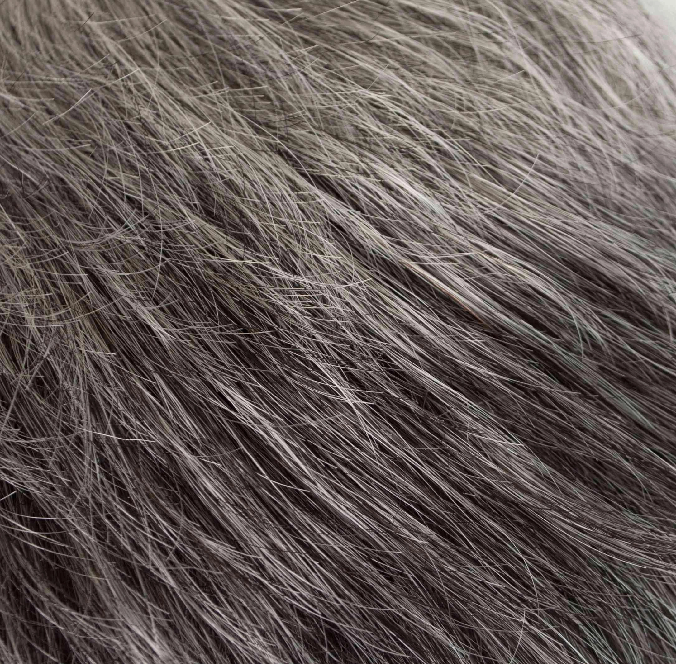 Ultra Petite Peg Wig by Tony of Beverly | Synthetic Wig (Traditional Cap)